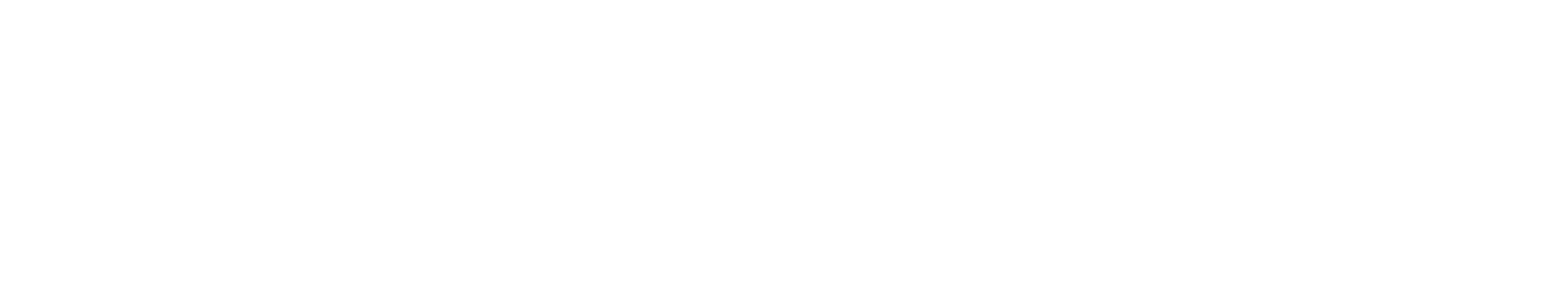 Belisur