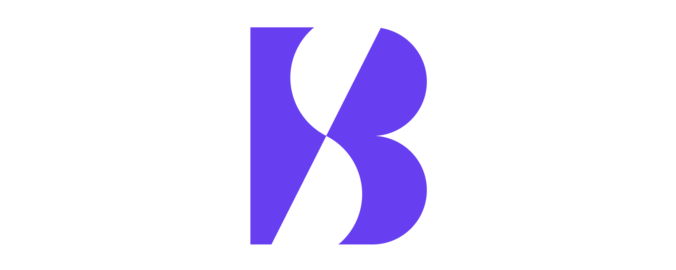 logo belisur